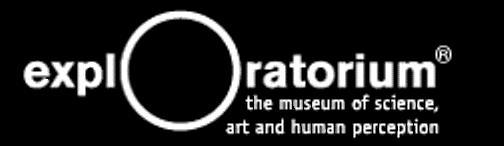 logo14.JPG